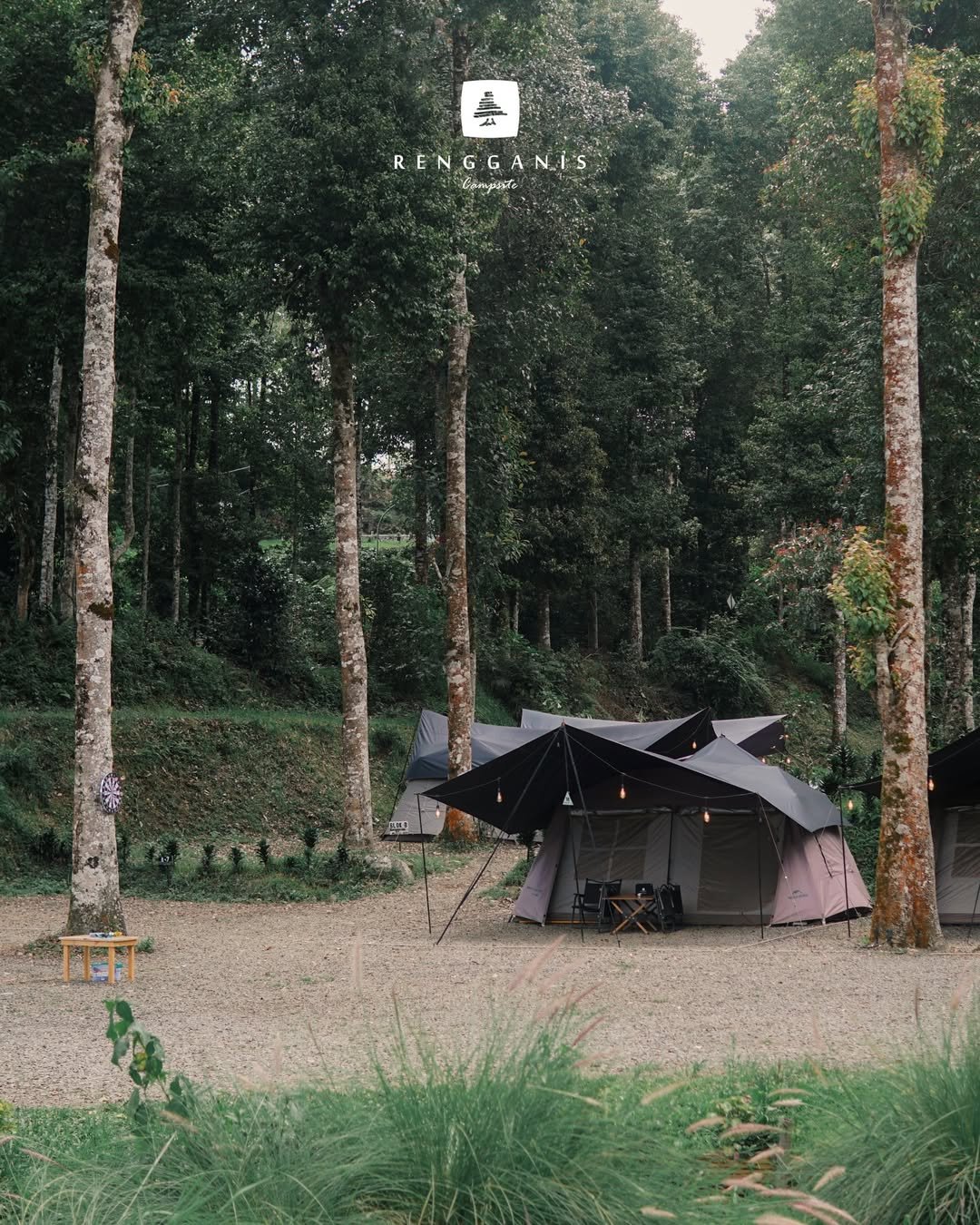 Camp Senja 13