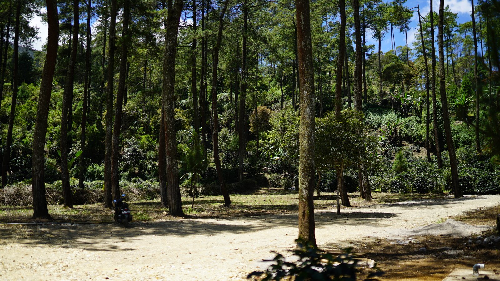 Parkir