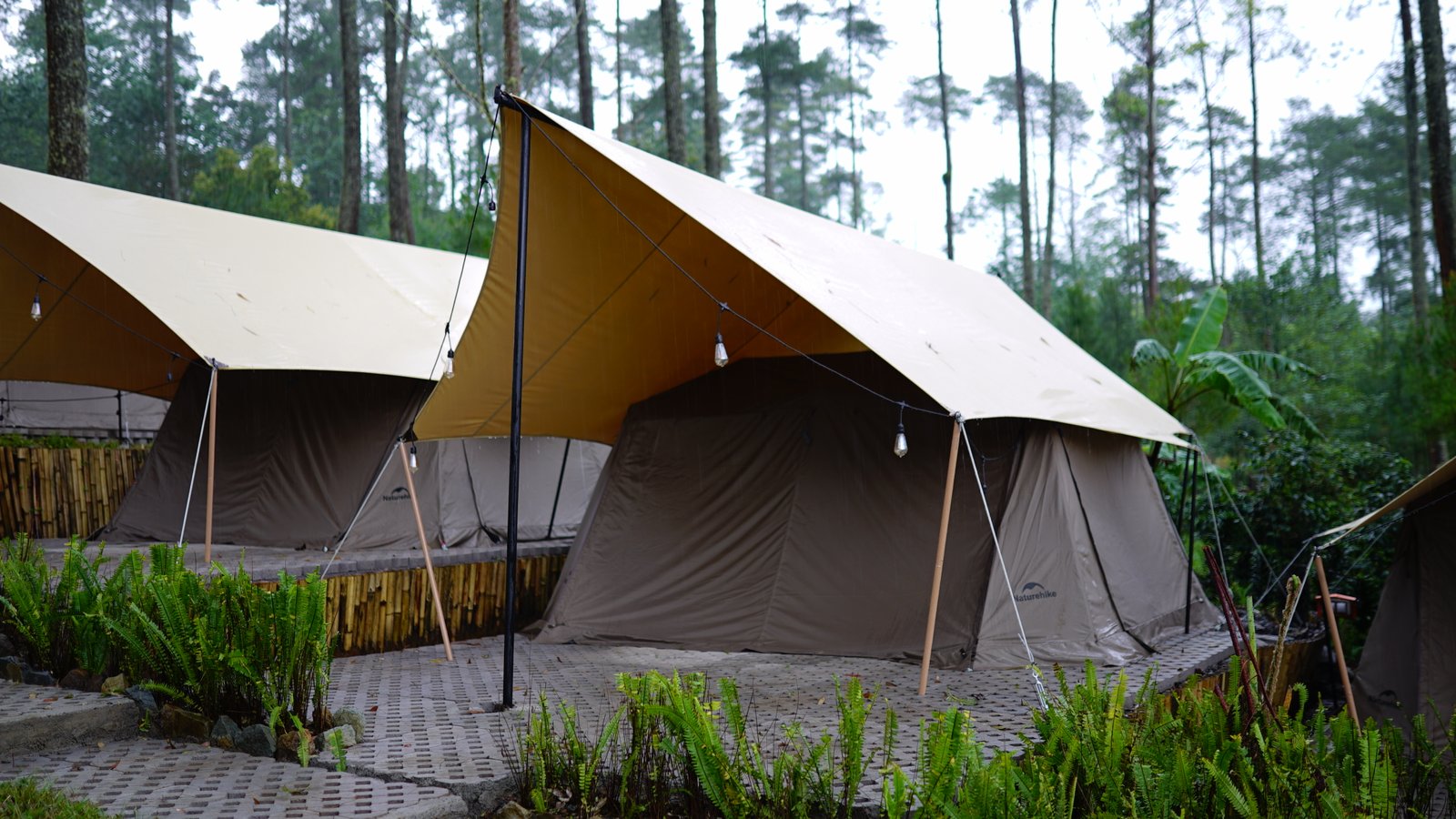 Camp  Senja 3