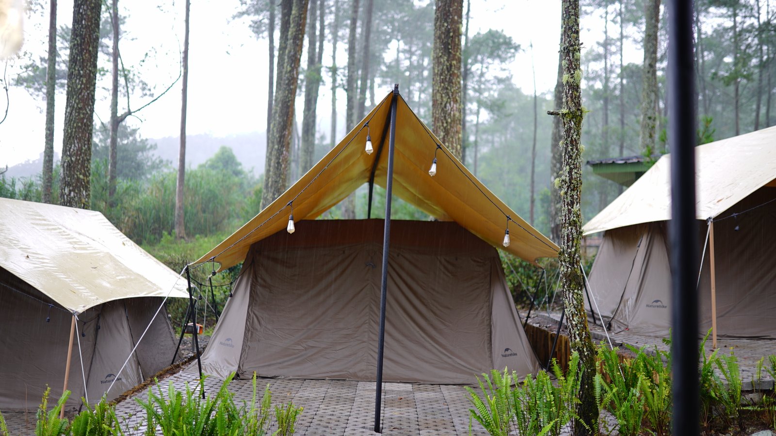 Camp Senja 10