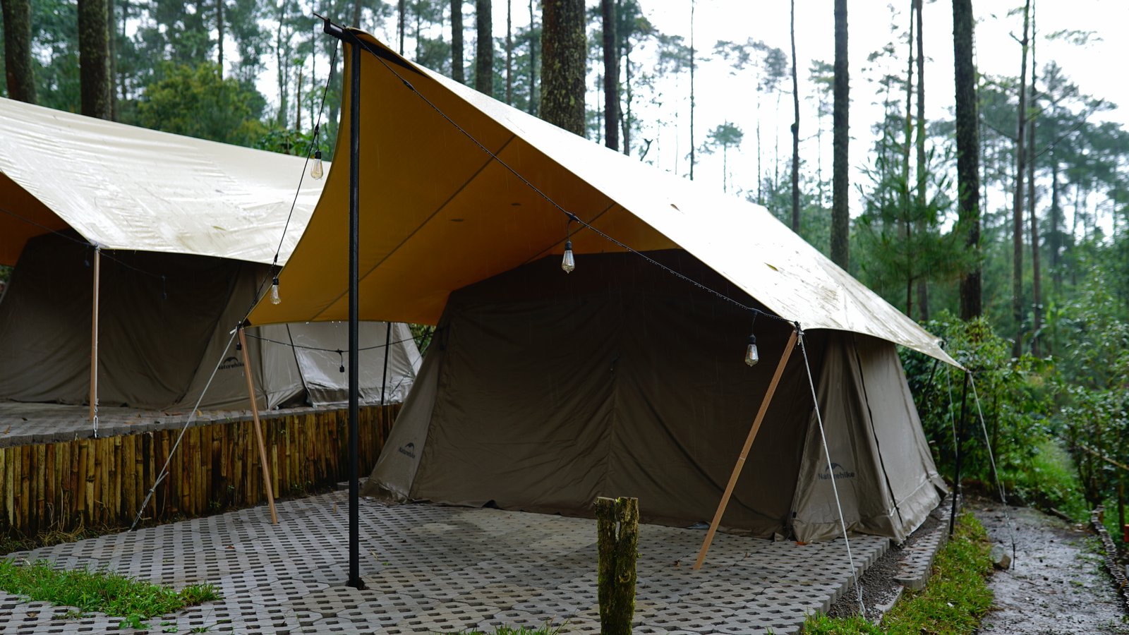 Camp Senja 11