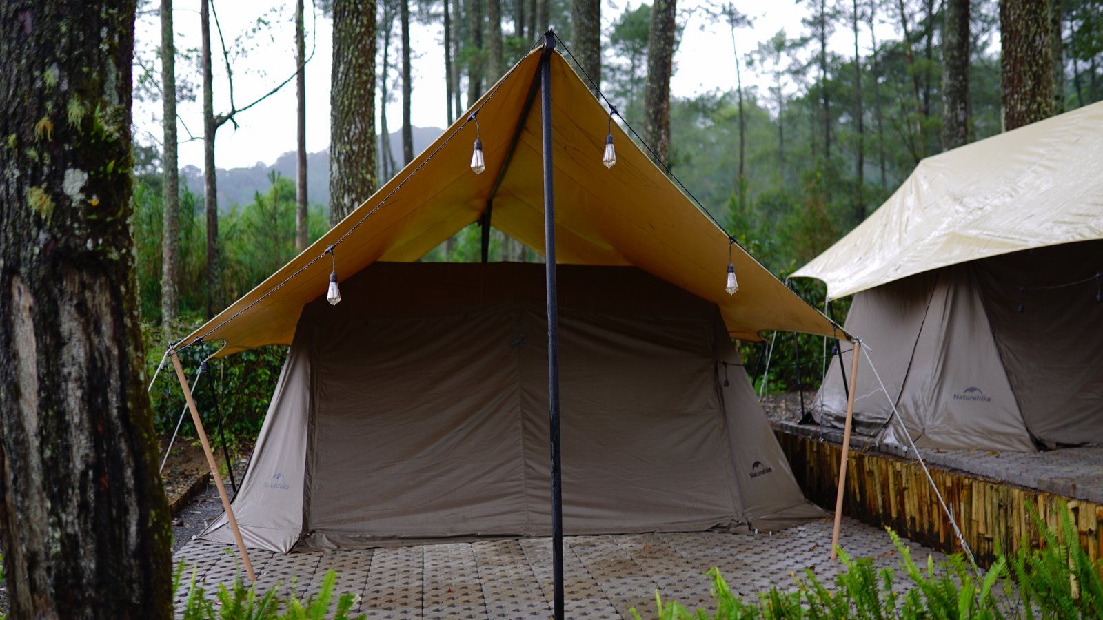 Camp Senja 14